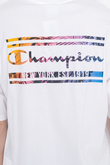 Koszulka Champion Graphic Gallery