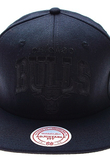 CHICAGO BULLS