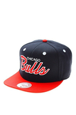 CHICAGO BULLS
