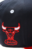 CHICAGO BULLS