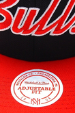 CHICAGO BULLS