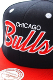 CHICAGO BULLS
