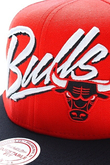 CHICAGO BULLS