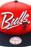 CHICAGO BULLS