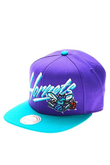 NEW ORLEANS HORNETS