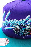 NEW ORLEANS HORNETS