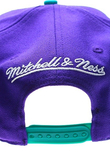 NEW ORLEANS HORNETS