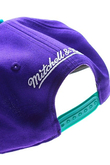NEW ORLEANS HORNETS