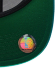 NEW ORLEANS HORNETS