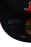 BOSTON RED SOX