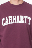 Carhartt WIP University Crewneck