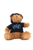Vycpaná Hračka 2005 Valentine's Teddy Bear