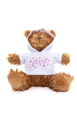 Pluszak 2005 Valentine's Teddy Bear 