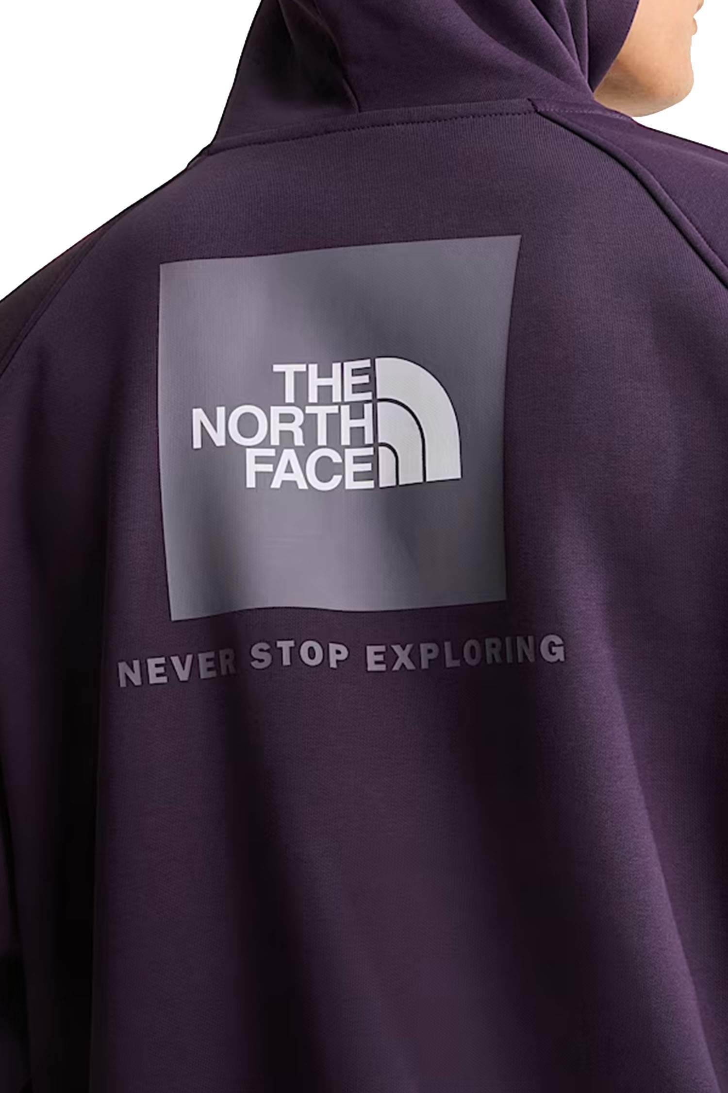 Mikina S Kapucí The North Face NSE Box