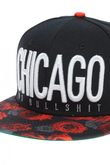 Czapka Cayler and Sons Chicago City