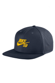 Nike SB Performance Trucker Hat