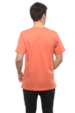 Koszulka DC Shoes Star