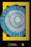 Blat Element Net Geo Molecu