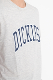 Dickies Aitkin T-shirt