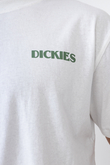 Koszulka Dickies Herndon