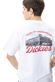 Koszulka Dickies Wellsville