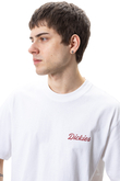 Koszulka Dickies Wellsville