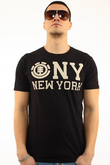 NY