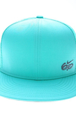 ICON TRUCKER