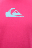 Q CORPORATE LOGO