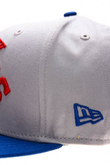 NEW YORK GIANTS