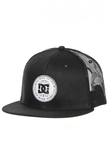 Czapka DC Daxbred
