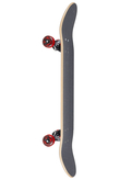 Deskorolka Darkstar Scrim Rasta