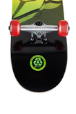 Deskorolka Darkstar Scrim Rasta