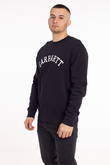 Bluza Carhartt WIP University