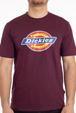 Koszulka Dickies Icon Logo