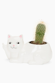 Plantážník Ripndip Lord Nermal Pot