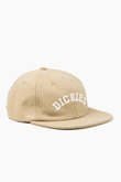 Czapka Dickies West Vale