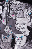 Boardshorty Ripndip Family Tree