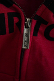 LOGO VERTICAL FZ