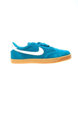 ZOOM LESHOT LR