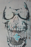 DISTORTED SKULL