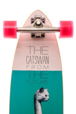 CATSWAN