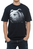 Koszulka Diamond Grizzly Montana