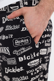 Spodnie Dickies 100th Anniversary AOP