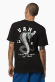 Koszulka Vans Striked