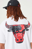 Koszulka New Era Chicago Bulls NBA Infill Team Logo Oversized