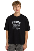 Koszulka Dickies Laundry