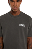Tričko Dickies Buchtell
