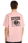 Tričko Dickies Buchtell