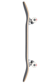 Skateboard Globe G0 Unfussed